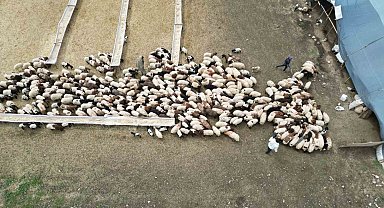 'Cehennem göçerleri', zorlu yayla yolculuğuna hazırlanıyor