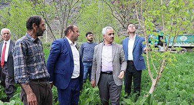'Meyve deposu' Ayvalı Mahallesi'nde don meyve ağaçlarına zarar verdi
