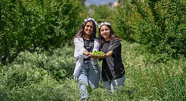 4. Göksu Gravga Şenliği'nde lezzet ve eğlence bir arada