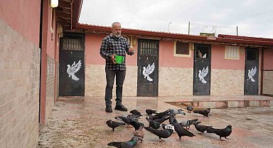 42 yıllık hobisi, profesyonel tesise dönüştü; 'güvercin apartı' kurdu