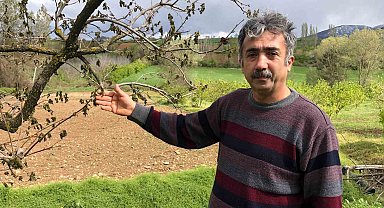 65 dönümlük bahçesindeki ağaçları zarar gören Amasyalı çiftçi: "Ürünlerimiz dondu, hayallerimiz kayboldu"