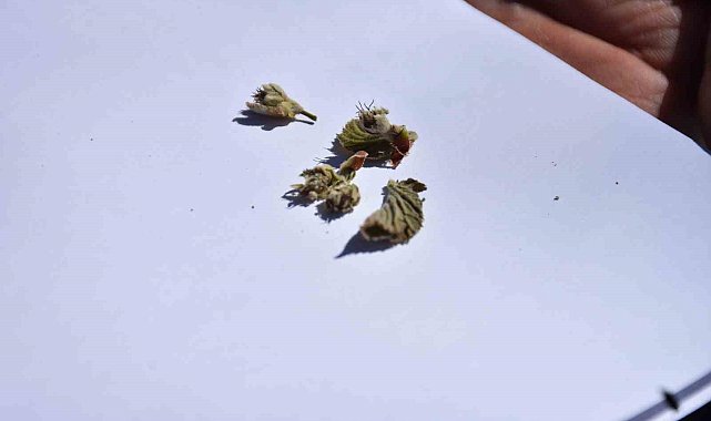 7 bin üreticiye bilgilendirme mesajı atıldı