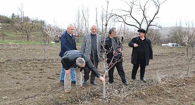 Aç kalan tavşanlar fidanları kemirdi