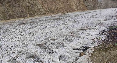 Adana'da dolu yağışı tarım arazilerini beyaza bürüdü