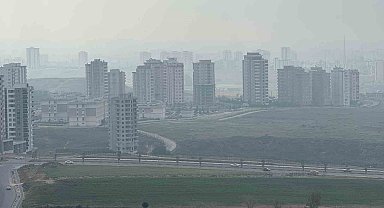 Adana'da sis etkili oldu