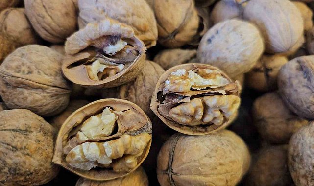 Adilcevaz'dan yurdun dört bir yanına ceviz fidanı