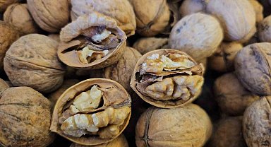 Adilcevaz'dan yurdun dört bir yanına ceviz fidanı