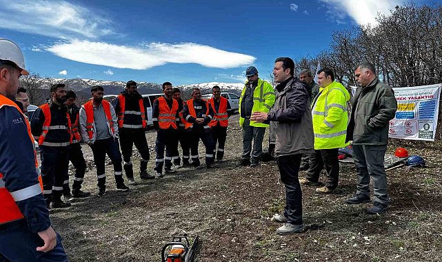 Ağaç budama çalışmaları güvenlik ve süreklilik için özenle yürütülüyor