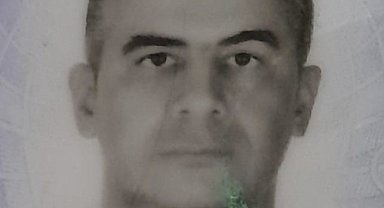 Ağaca çarpan otomobil sürücüsü hayatını kaybetti