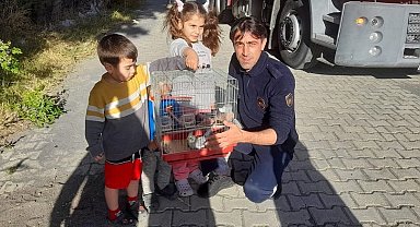 Ağaçta mahsur kalan papağanı itfaiye kurtardı