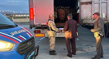 Ağrı'dan çalınan koyunlar Bitlis'te yakalandı