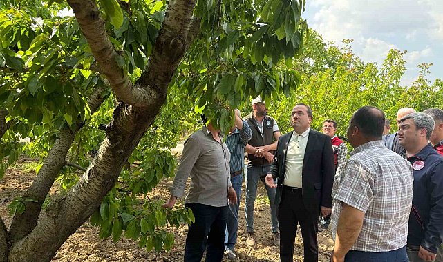 AK Partili Kırkpınar, zirai don yaşanan bölgelerde incelemelerde bulundu