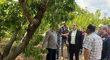 AK Partili Kırkpınar, zirai don yaşanan bölgelerde incelemelerde bulundu
