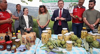Akçapınar'da 'Hibrit Enginar Hasadı Tarla Günü' düzenlendi
