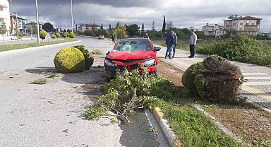 Alkollü sürücü kaldırımdaki ağaçlara çarptı: Devrilen ağaç Rus kadının yaralanmasına neden oldu