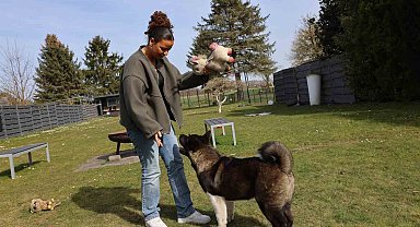 Almanya'da köpek vergileri 2025 yılında arttı