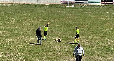 Amatör müsabakada sahaya giren köpeğe kırmızı kart