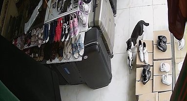 Annelerinin ağzında geldikleri dükkan yuvaları oldu