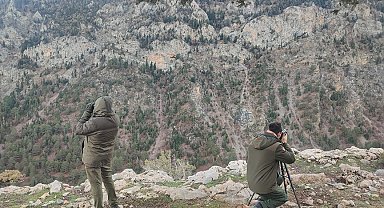 Antalya'da yasadışı avcılığa suçüstü!