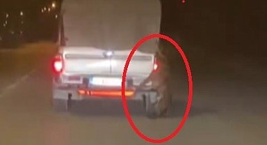 Aracın arkasına bağlı köpekle metrelerce yol gittiler
