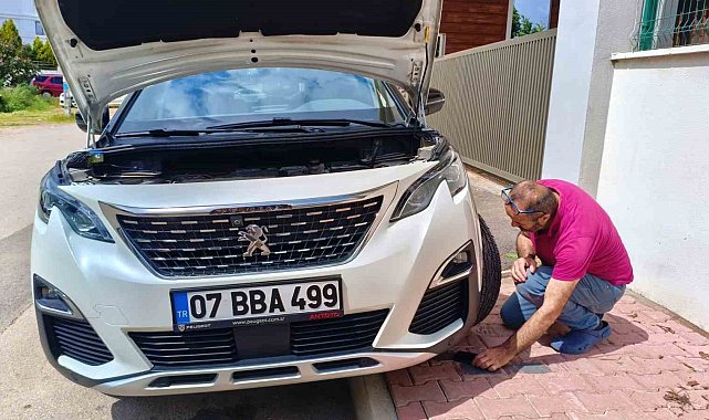 Aracın motoruna giren yavru kedileri telefondan kedi sesi açarak çıkarmaya çalıştılar