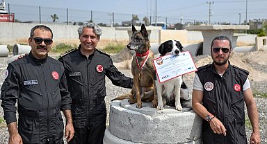 Ares ve Rex, uluslararası sınavda zirvede