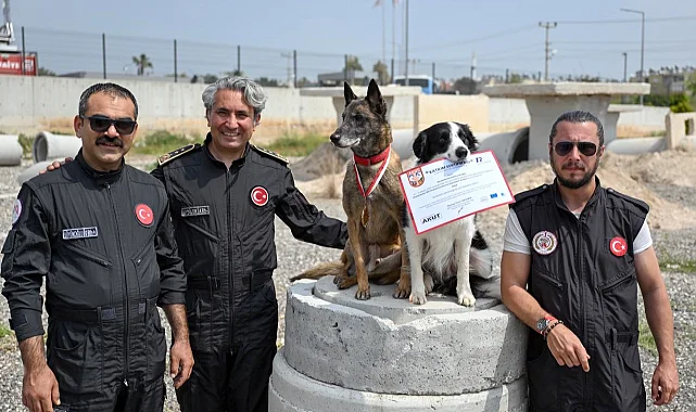 Ares ve Rex, uluslararası sınavda zirvede