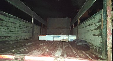 Arı kovanı hırsızları suçüstü yakalandı