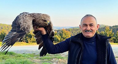 Arnavutköy'de ormanda ot toplayan vatandaş yaralı Kaya Kartalı buldu