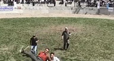 Artvin'de 500 kilogramlık boğa bakıcısını hastanelik etti