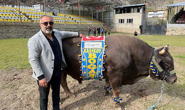 Artvinli Fenerbahçe taraftarından Ali Koç'a boğalı destek