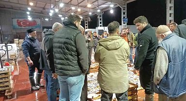 Av yasağı başladı, küçük teknelerin getirdiği balıklar mezatta satıldı