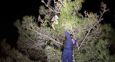 Ayağına misina dolanan leyleğe itfaiyeden hayat kurtaran müdahale