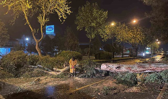 Aydın Büyükşehir Belediyesi'nden şiddetli yağış ve fırtınaya karşı hızlı müdahale