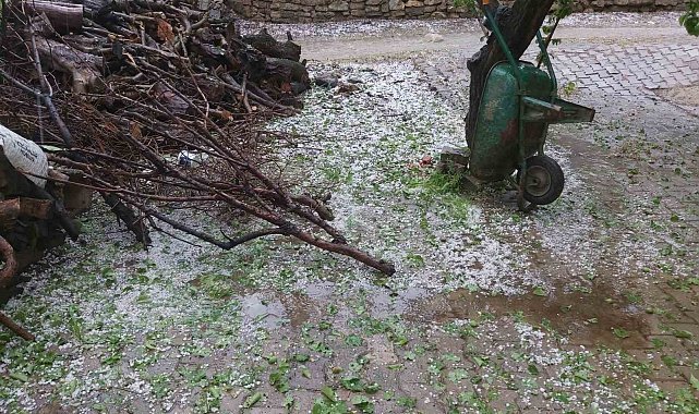 Aydın'da dolu sürprizi