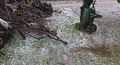 Aydın'da dolu sürprizi