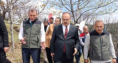 Aydın'da Kestane zararlısına karşı biyolojik mücadele