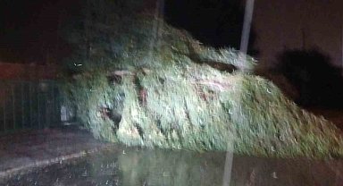 Aydın'da kuvvetli rüzgar hayatı olumsuz etkiledi