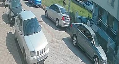 Aydın'da sınava giden öğrenciye köpek saldırdı