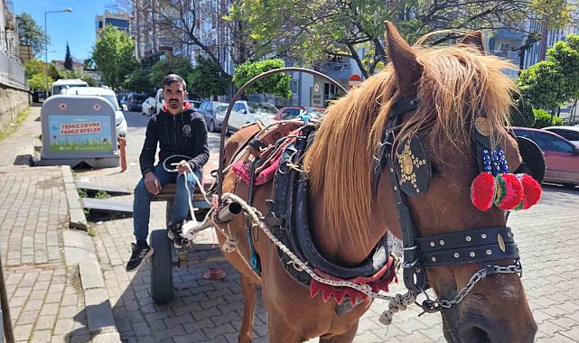 Aydın'ın son at arabacısı, evinin ve 5 çocuğunun iaşesini atıyla karşılıyor