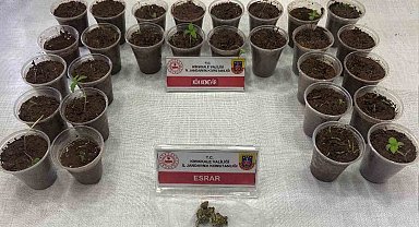 Bagajdan bardak bardak kenevir çıktı: Uyuşturucuyla yakalanan şüpheli tutuklandı