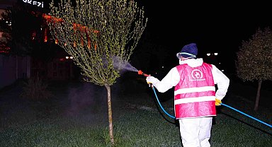 Bahar ilaçlaması başladı