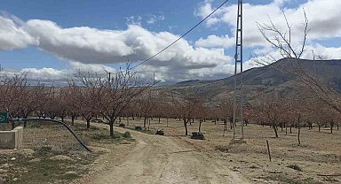 Bahçelerde ateş yakıldı, meyve üreticileri zirai don tehlikesine önlem aldı