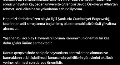 Bakan Tunç'tan Şanlıurfa'da sahipsiz köpeklerden kaçarken ölen kızın ailesine başsağlığı mesajı