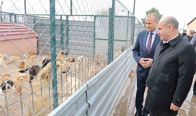 Bakan Yardımcısı Aktaş: "Sokak hayvanları ülkemizin olumsuz gündem maddelerinden biri"