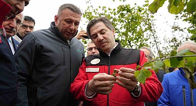 Bakan Yardımcısı Bağcı: "Cumhuriyet tarihinin en büyük zirai don hadisesi"