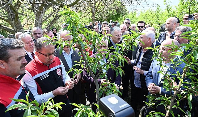Bakan Yardımcısı Gümen: "Bazı yerlerde yüzde 10, bazı yerlerde ise yüzde 100 hasar oranı var"