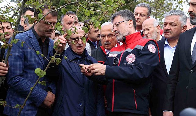 Bakan Yumaklı: "Zirai don nedeniyle zarar gören ağaçlarda kulaktan dolma bilgilerle budama yapılmamalı"