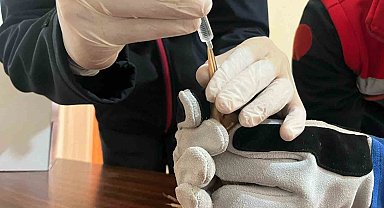 Balaban kuşuna uzanan şefkat eli