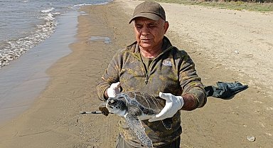 Balıkçı ağlarına takılan deniz kaplumbağası tekrar denize bırakıldı